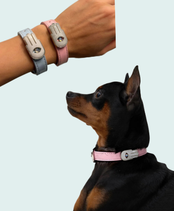 Your Gift to Match!🎁 With purchased collar